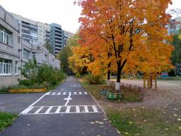 На территории сделана разметка, которая используется при проведении игровых занятий
